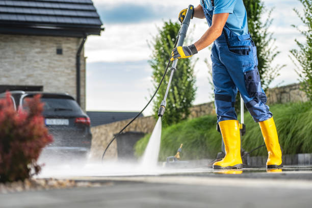 Animal Enclosure Cleaning in Bonanza, GA